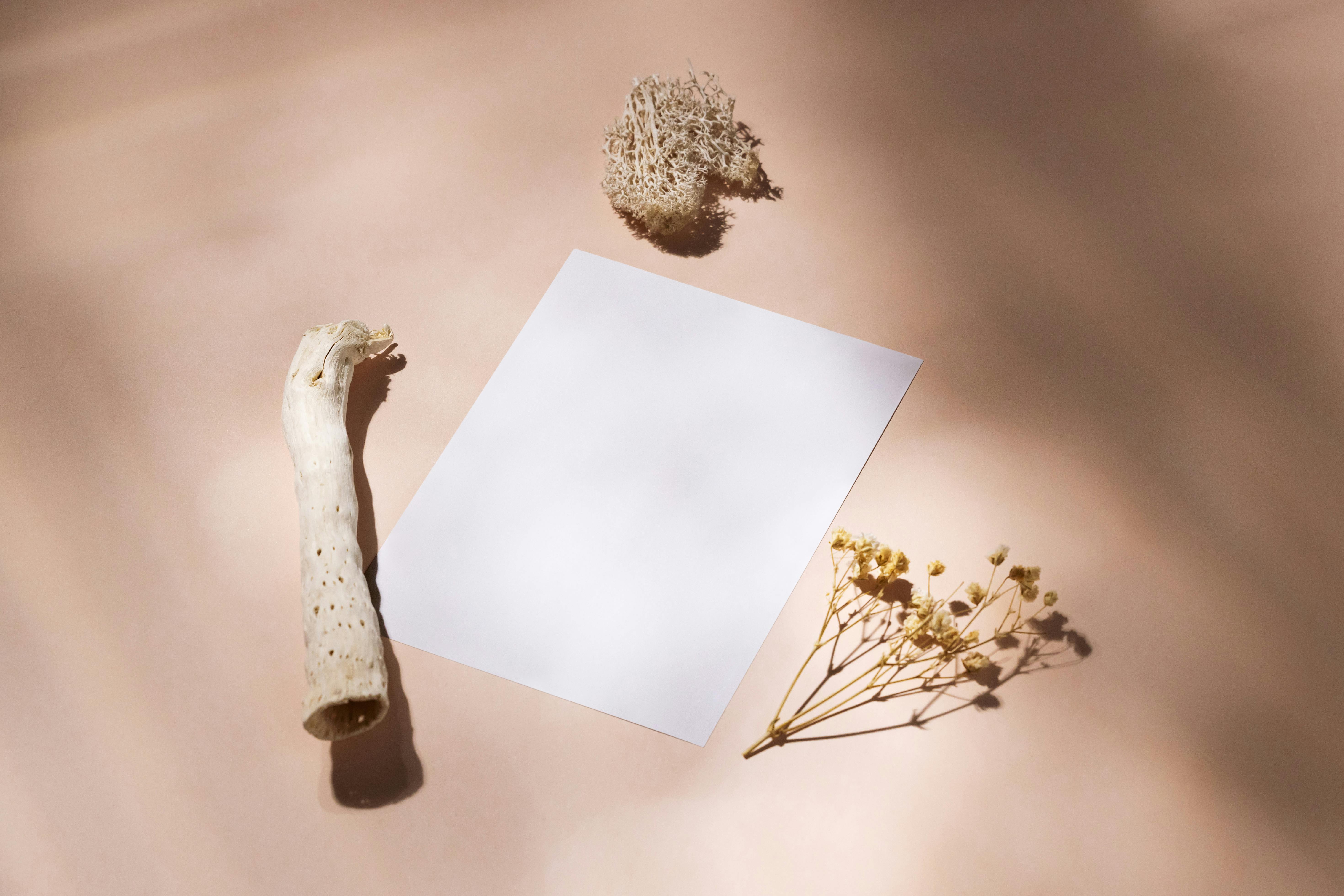 A blank sheet of paper on a pale surface with driftwood and dried flowers